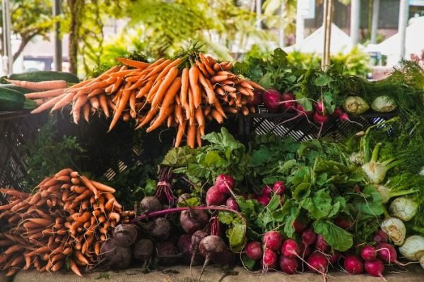 Freshly harvested root vegetables, including carrots, beets, and radishes, displayed at a market, ideal for choosing varieties for your garden.