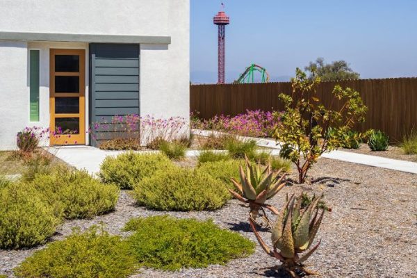 Xeriscaped garden with drought-tolerant plants and minimal water usage, illustrating sustainable garden design principles.