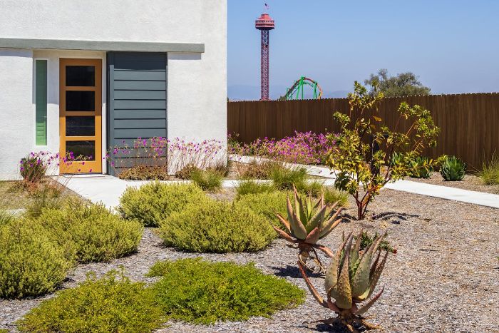 Xeriscaped garden with drought-tolerant plants and minimal water usage, illustrating sustainable garden design principles.