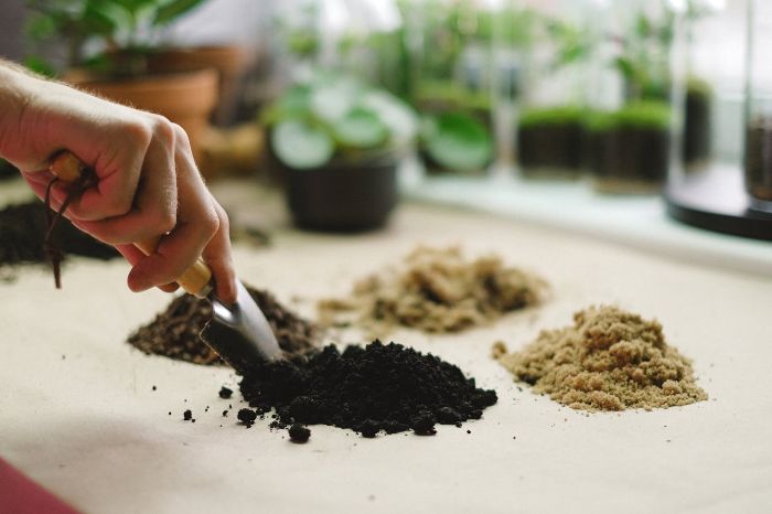 Hand using a small garden trowel to collect soil samples for pH testing with different soil types on a table.