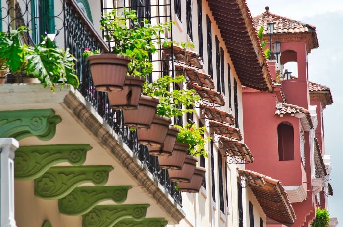 Potted plants hanging along a sunny balcony railing, positioned to receive maximum sunlight for optimal growth of sun-loving plants like tomatoes and peppers.
