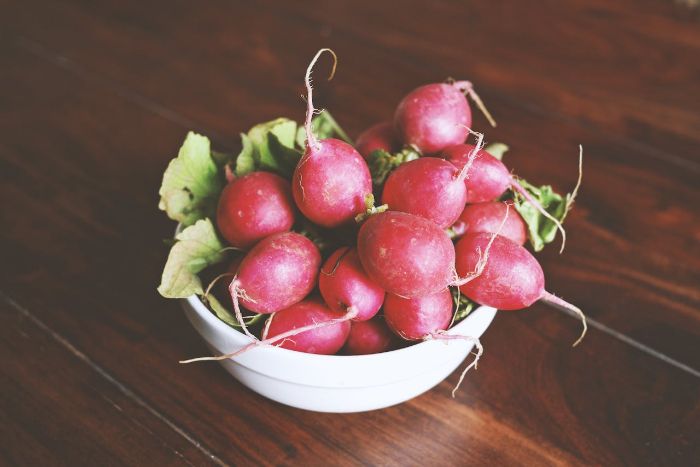 Freshly harvested red radishes with green tops in a white bowl, showcasing a fast-growing vegetable ideal for any season.