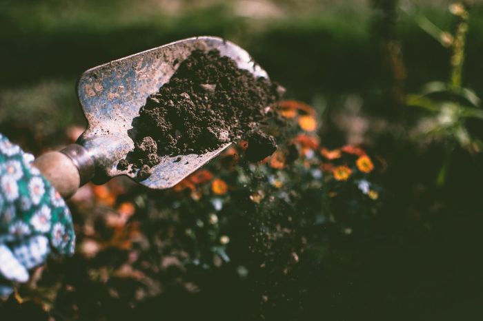 Gardener holding a trowel with soil, preparing to analyze soil texture using simple home testing methods like the Jar Test and Ribbon Test.
