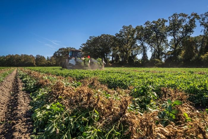 A tractor working on a green field, practicing crop rotation to improve soil health and promote sustainable farming.