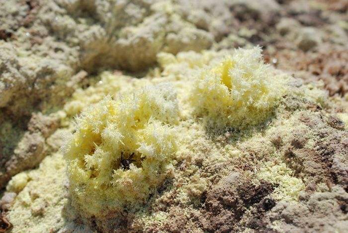 Close-up of natural sulfur crystals on rocky soil, illustrating sulfur's use in lowering soil pH for gardening.