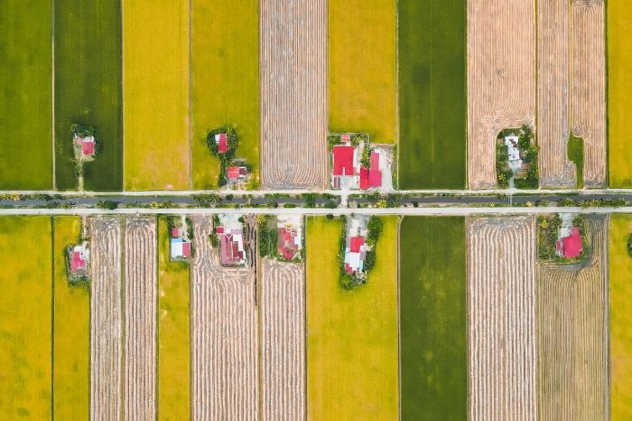 Aerial view of diverse crop fields showcasing crop rotation practices in biodynamic gardening for soil health and pest control.