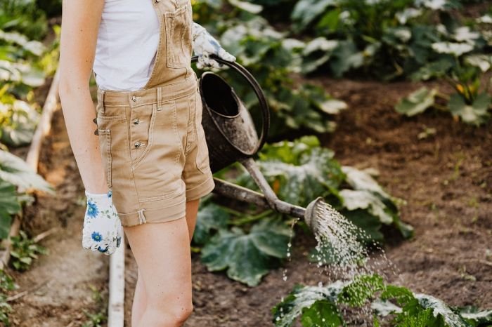Gardener watering plants in a biodynamic garden to improve soil health and fertility with organic practices.