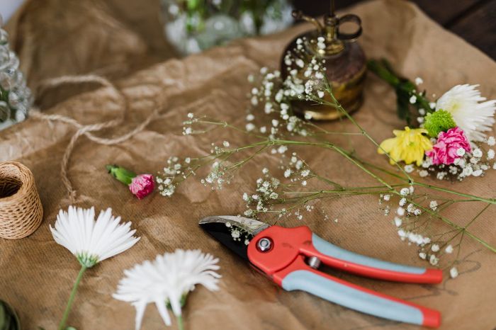 A pair of pruning shears with flowers and twine on a rustic table, highlighting the importance of maintaining sharp and clean tools for effective rose pruning.