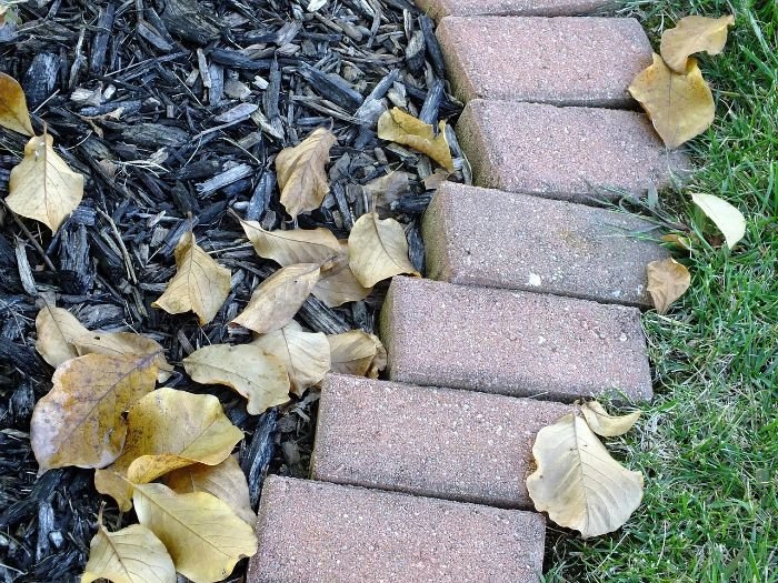 Close-up of garden mulch, brick edging, and fallen leaves, illustrating mulch type selection for optimal soil protection and plant health.