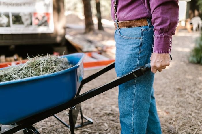 Person pushing a blue wheelbarrow filled with garden debris, highlighting cardiovascular exercise benefits of gardening tasks like weeding and lifting.