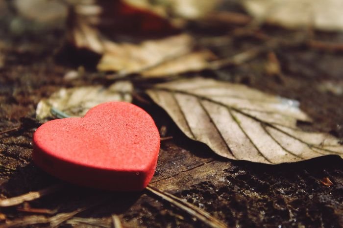 Red heart symbol on soil with dry leaves, representing the cardiovascular benefits of gardening and its role in reducing hypertension and heart disease risk.