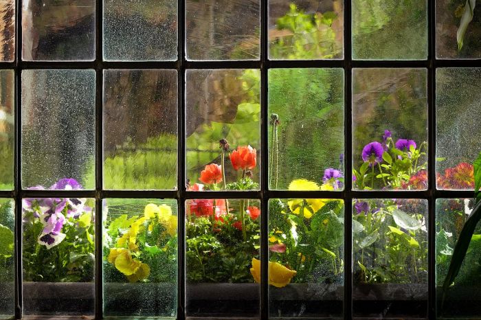 View through an old window showing vibrant perennial flowers thriving in a garden, symbolizing the benefits of organic fertilization methods.