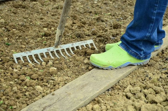 Gardener using a rake on soil while standing on a wooden plank, demonstrating how planting and raking activities strengthen legs, arms, and back.