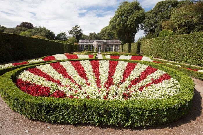 Beautifully maintained formal garden with boxwood hedges and colorful flowerbeds, illustrating successful plant establishment and care.