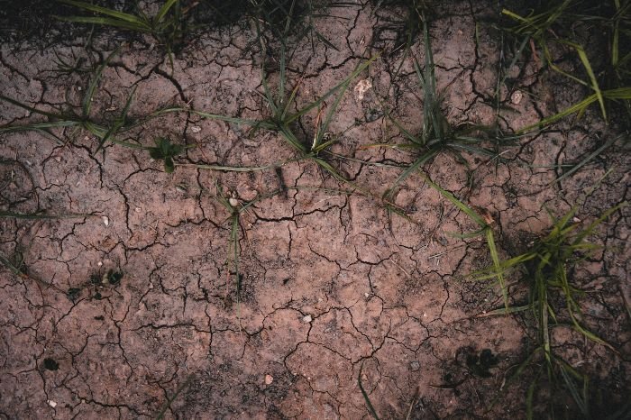 Close-up of cracked dry soil with sparse grass, illustrating the importance of consistent soil moisture monitoring for healthy plant growth.
