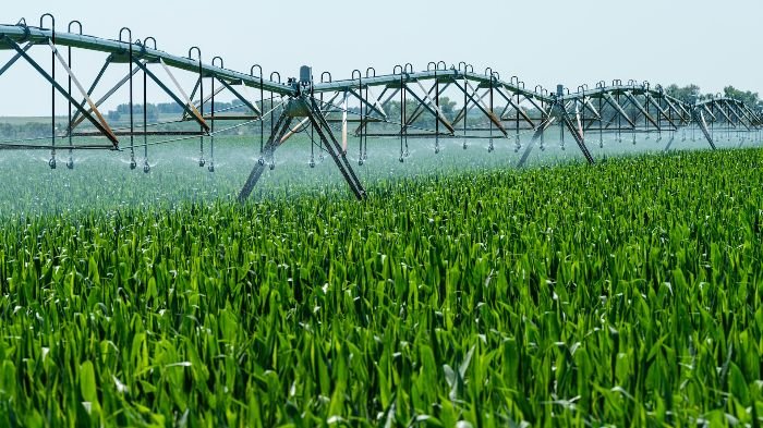 Automated irrigation system spraying water over a green crop field, representing troubleshooting techniques for moisture monitoring and watering accuracy.