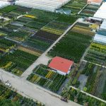 Aerial view of a structured garden and greenhouse system showcasing diverse plant beds, ideal for illustrating permaculture garden design and self-sustaining landscapes.
