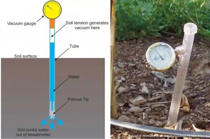 Illustration and photo of a soil tensiometer showing how it measures water tension using a vacuum gauge and porous tip to guide irrigation timing.