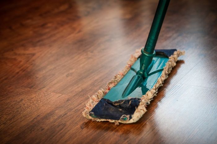 Close-up of a reusable mop cleaning hardwood floor with water only, showcasing a chemical-free and eco-friendly indoor cleaning method.