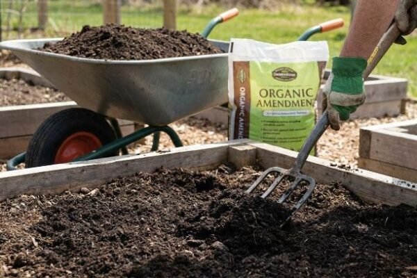 Gardener loosening soil in a raised garden bed while adding organic soil amendments