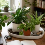 Indoor plant care scene with pothos, spider plant, peace lily, peperomia, notebook, and moisture meter