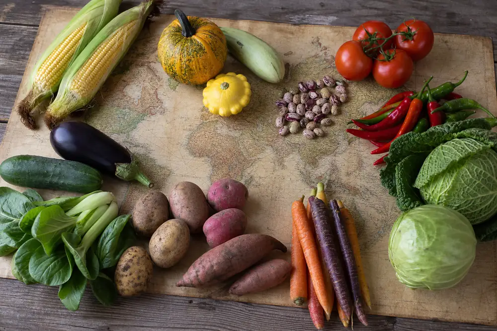 Tabletop map with potatoes, corn, tomatoes, carrots, eggplant, cabbage, and peppers arranged by region of origin