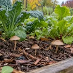 Small tan mushrooms emerging among wood chips and vegetables in a raised garden bed