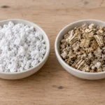 White porous perlite granules beside tan layered vermiculite in separate dishes